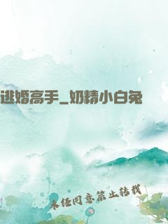 逃婚高手