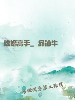 逃婚高手
