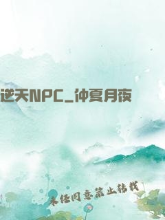 逆天NPC
