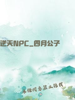 逆天NPC