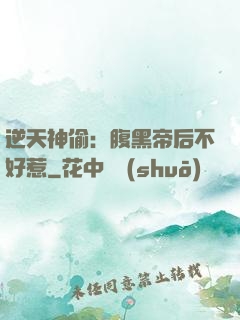 逆天神偷：腹黑帝后不好惹