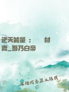 逆天能量師：絕寵廢材妻