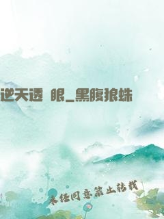 逆天透視眼