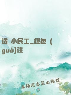 透視小民工