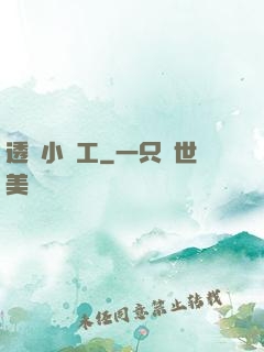 透視小礦工