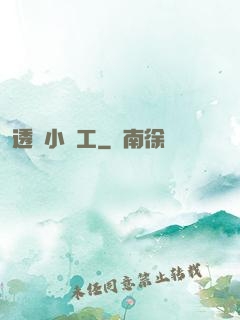 透視小礦工