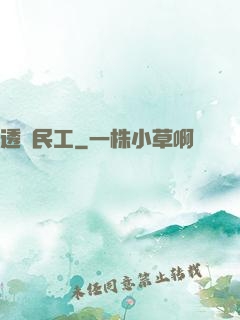 透視民工