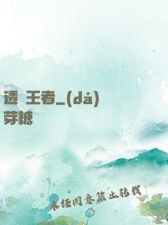 透視王者