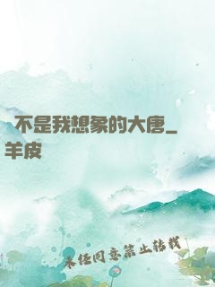 這不是我想象的大唐