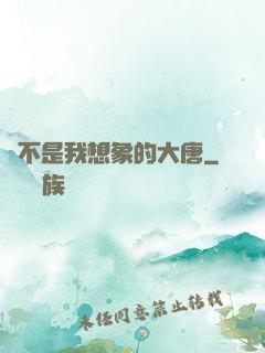 這不是我想象的大唐