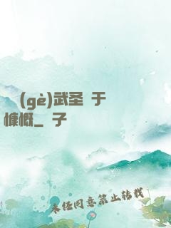 這個(gè)武圣過于慷慨