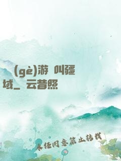 這個(gè)游戲叫疆域