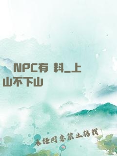 這個NPC有點料