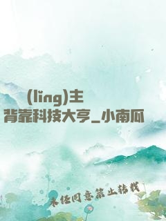 這個領(lǐng)主背靠科技大亨