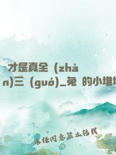 這才是真全戰(zhàn)三國(guó)