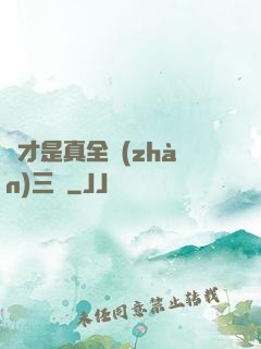 這才是真全戰(zhàn)三國