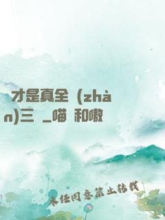 這才是真全戰(zhàn)三國