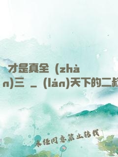 這才是真全戰(zhàn)三國