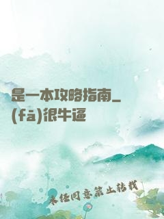 這是一本攻略指南
