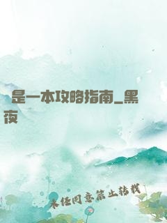 這是一本攻略指南