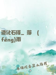 造化石碟
