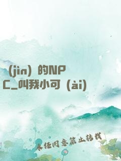 進(jìn)階的NPC