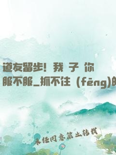 道友留步！我兒子問你服不服
