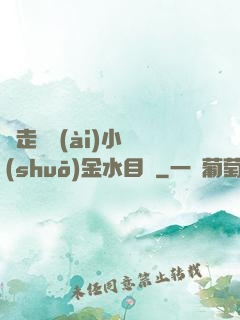 邊走邊愛(ài)小說(shuō)金水目錄