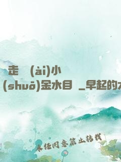 邊走邊愛(ài)小說(shuō)金水目錄