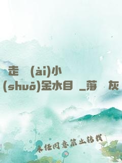 邊走邊愛(ài)小說(shuō)金水目錄