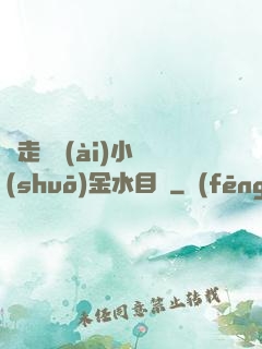 邊走邊愛(ài)小說(shuō)金水目錄