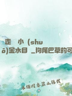 邊走邊愛小說(shuō)金水目錄