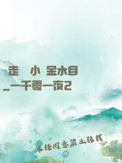 邊走邊愛小說金水目錄