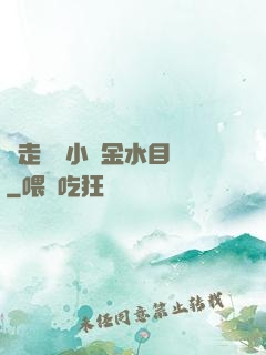 邊走邊愛小說金水目錄