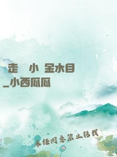 邊走邊愛小說金水目錄