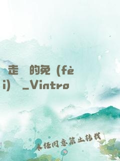 邊走邊愛的免費(fèi)閱讀