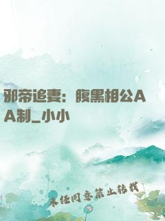 邪帝追妻：腹黑相公AA制