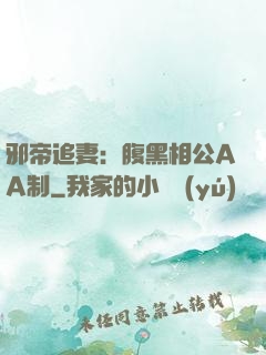 邪帝追妻：腹黑相公AA制