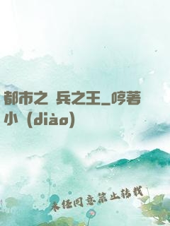 都市之傭兵之王