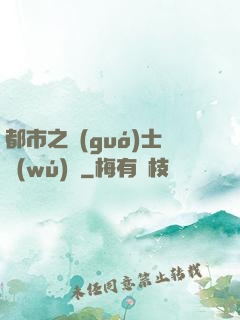 都市之國(guó)士無(wú)雙