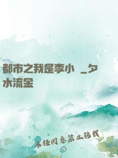 都市之我是李小龍