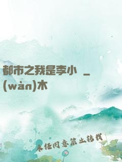 都市之我是李小龍