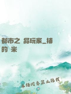 都市之極品玩家