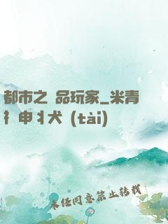 都市之極品玩家
