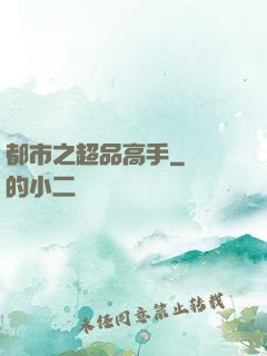 都市之超品高手