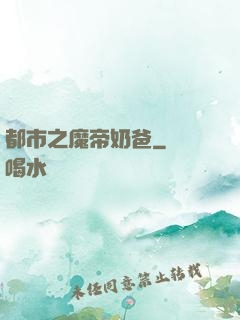 都市之魔帝奶爸
