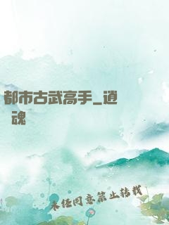都市古武高手