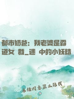 都市奶爸：我老婆是霸道女總裁