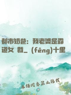 都市奶爸：我老婆是霸道女總裁