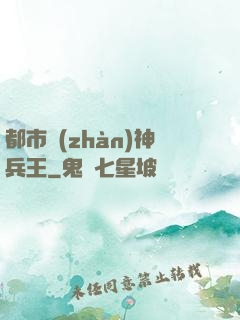 都市戰(zhàn)神兵王
